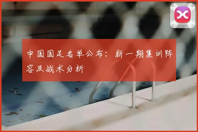 中国国足名单公布:新一期集训阵容及战术分析